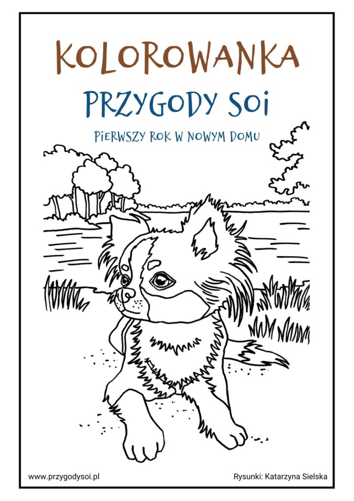 Kolorowanka Przygody Soi