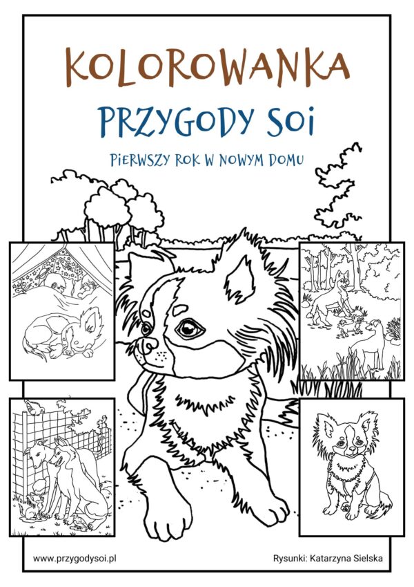 Przygody Soi