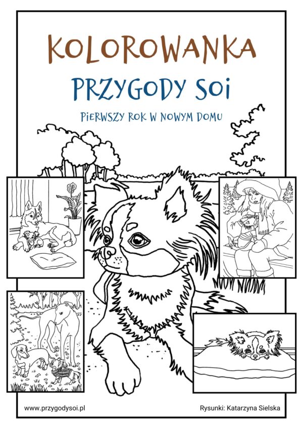 Przygody Soi